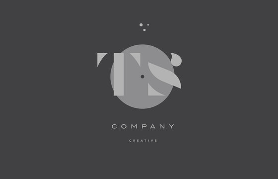 ts t s  grey modern alphabet company letter logo icon