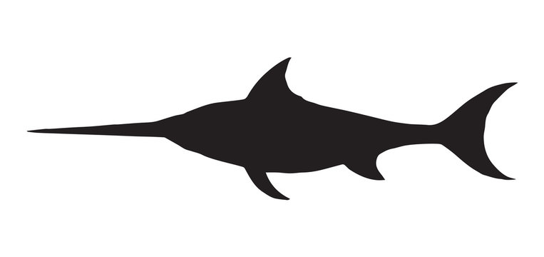 black swordfish silhouette on white background clip art preview