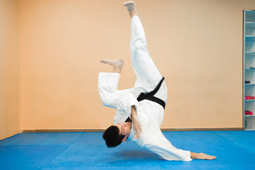 man practicing aikido