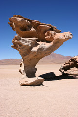 Arbol de Piedra (Stone tree) is an isolated rock formation in the Eduardo Avaroa Andean Fauna...