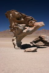 Arbol de Piedra (Stone tree) is an isolated rock formation in the Eduardo Avaroa Andean Fauna...