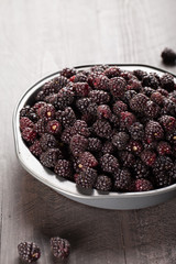 Harvested Boysenberries in silver tin container vertical shot on dark wooden background