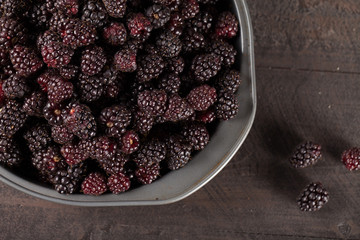 Harvested Boysenberries in silver tin container above shot on dark wooden background