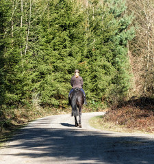 Reiterin im Wald