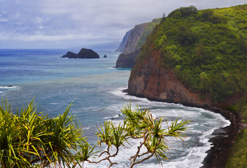 Black sand beach at Pololu lookout coastline at North Kohala, Big Island, Hawaii