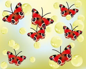 Beautiful red butterflies