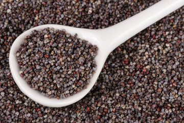 poppy seeds with a spoon as background close-up. Top view