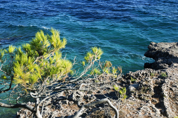 Ivan Dolac, Hvar island - coastline