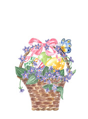 Watercolor wicker basket with easter eggs, violets isolated on white background.