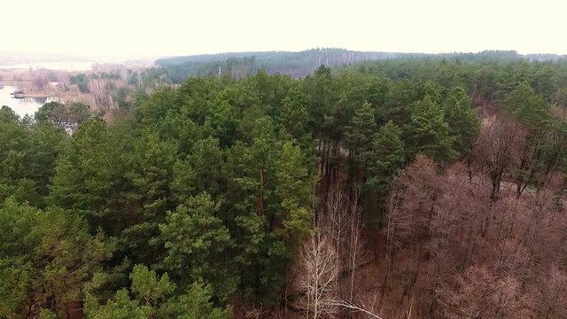Aerial view footage of flying above a green forest.
