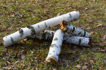 Stack of cut logs firewood from silver birch tree on grass