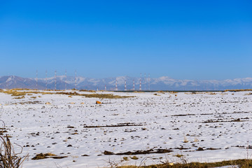 Beautiful winter scene with transmission towers, Armenia