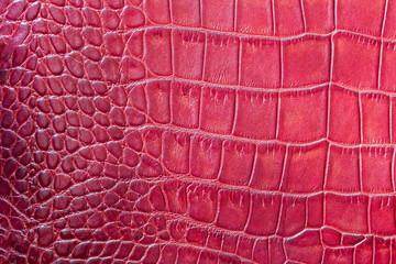 Red scales macro exotic background, embossed under the skin of a reptile, crocodile. Texture...