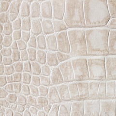 Beige skin of a reptile, crocodile. Texture genuine leather close-up, cognac tones, fashion trend