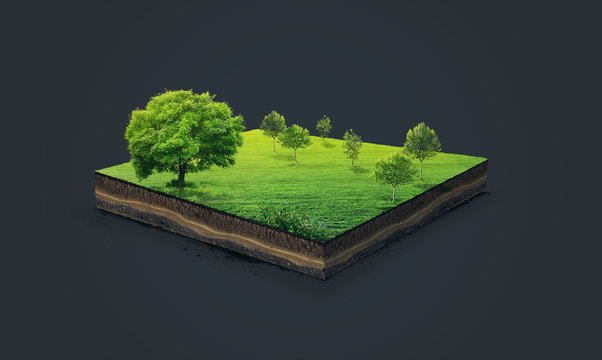 3d illustration of a soil slice, green meadow with trees isolated on dark background