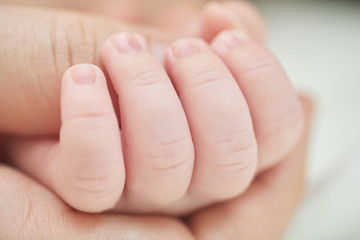 A newborn baby holding his parent hand