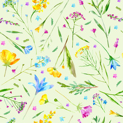 Floral seamless pattern of a wild flowers and herbs on a green background.Buttercup,cornflower,clover,bluebell,forget-me-not,vetch,grass,lobelia,snowdrop flowers. Watercolor hand drawn illustration.