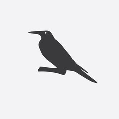The black silhouette of a raven, magpie, rook. Vector illustration