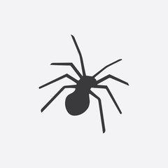 The black silhouette of a spider, insect. Vector illustration