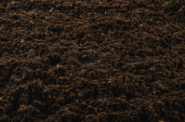 Fototapeta na wymiar Fertile soil texture background seen from above, top view. Gardening or planting concept with copy space. Natural pattern