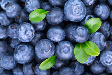 Ripe Blueberry background