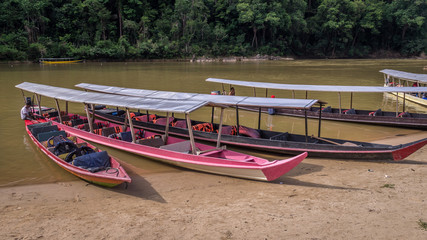 Fototapeta premium Long boats in rainforest in Taman Negara national park, Malaysia