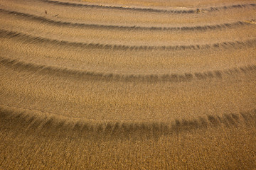 Sandy waves