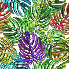 Fototapety  Kwiatowy wzór z pięknymi akwarela monstera liści. Kolorowe liście dżungli na białym tle. Projektowanie tekstyliów.