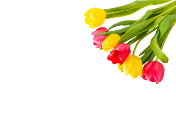 Obraz premium Blumenstrauß von roten und gelben Tulpen vor weißem Hintergrund