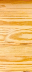 pine wood background