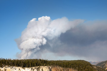 Fototapeta na wymiar Smoke from forest fire in Yellowstone National Park