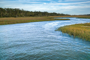 a protected water inlet on an island is being re-introduced with clams in a conservation project