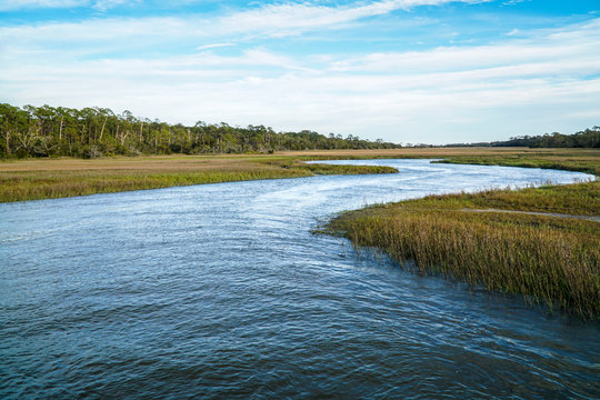 a protected water inlet on an island is being re-introduced with clams in a conservation project