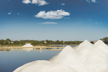 Ses salines in colonia sant jordi