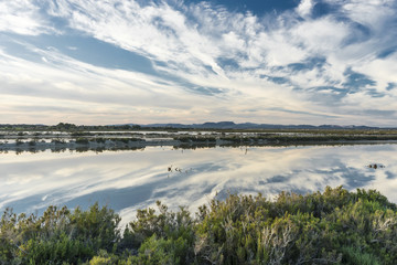 Fototapeta premium Ses salines in colonia sant jordi