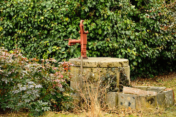 Czerwona pompa wody na tle zielonych liści.