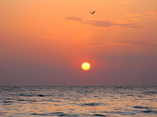 Fantastic orange sea ocean sunset horizon sky photo