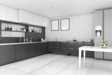 3d rendering nice contemporary style black kitchen