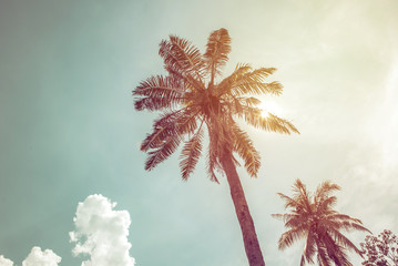 Coconut palm trees in tropical beach Thailand