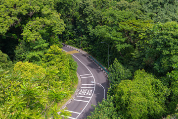 top view of curving road with trees in a public park.
