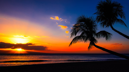 blue and orange sunset