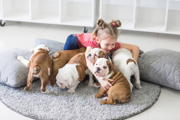 Little girl sitting on the floor and takes care of the puppies bulldog