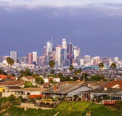 Downtown Los Angeles Shinny Skyline 