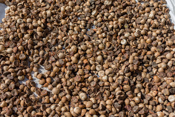 Betel palm nut drying out in the street in the midday sun.