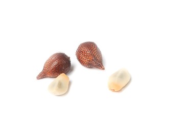 Salak fruit, Salacca zalacca in cup on white background
