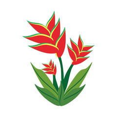 heliconia flower spring image vector illustration eps 10