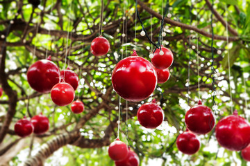 Christmas, New Year tree decoration with red balls