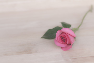 Pink roses in valentine day, romantic background (vintage effect)