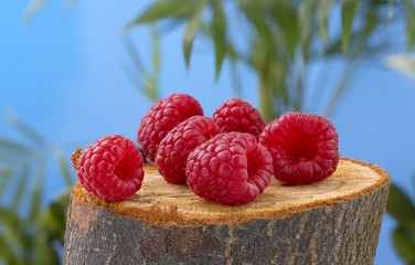 Fresh red forest raspberry, scattered on a beautiful stump in the forest
