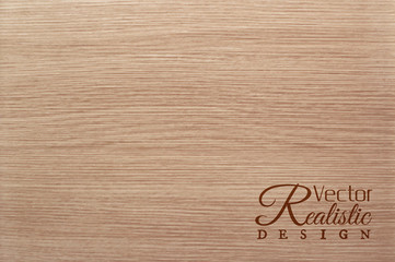 Vector white oak texture background. Realistic design